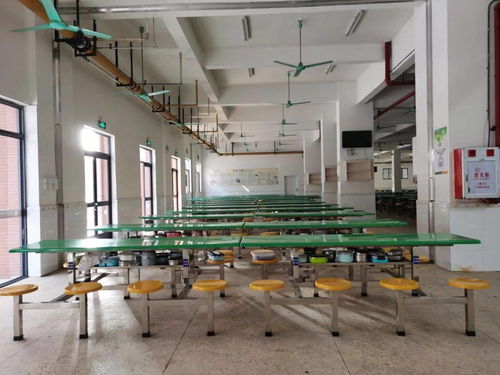 學校食堂 互聯(lián)網 明廚亮灶 建設工作,完成率100