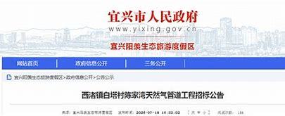 宜興西渚鎮網站建設揭秘及高塍鎮官網2025年01月焦點分析